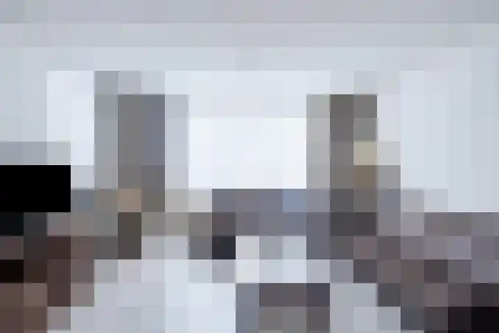 Morgen 7 Gemert thumbnail 14