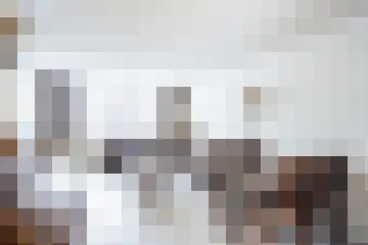 Morgen 7 Gemert thumbnail 18