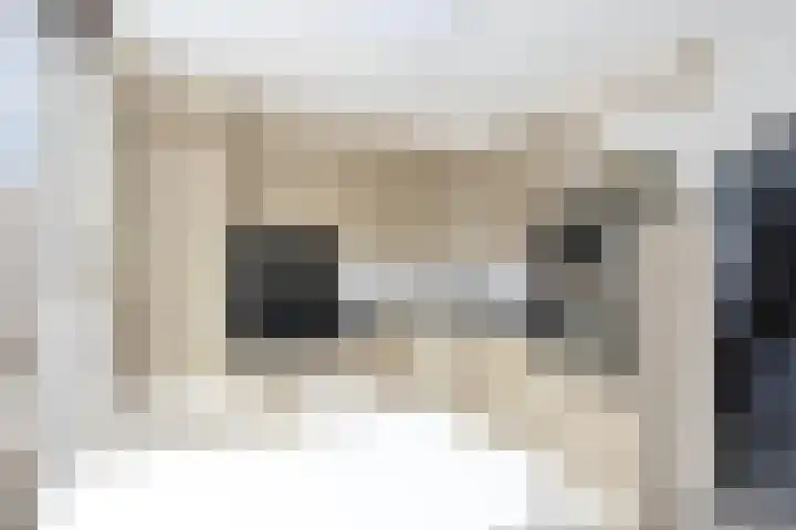 Morgen 7 Gemert thumbnail 21
