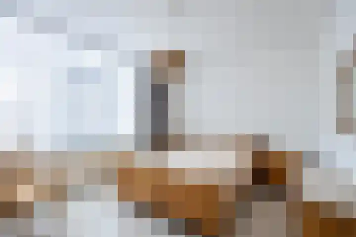 Morgen 7 Gemert thumbnail 27