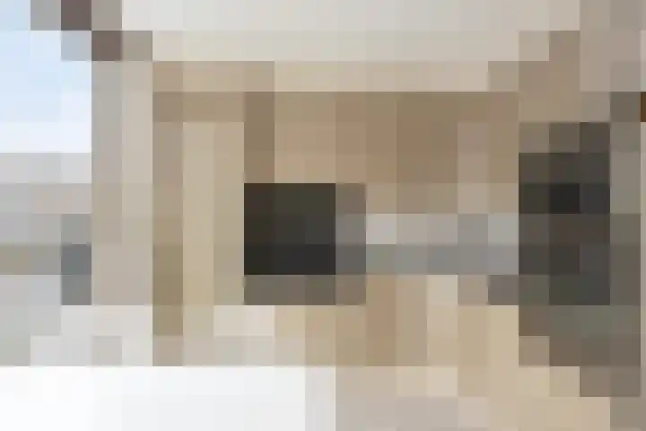 Morgen 7 Gemert foto 3