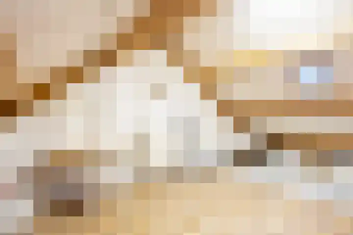 Morgen 7 Gemert thumbnail 34