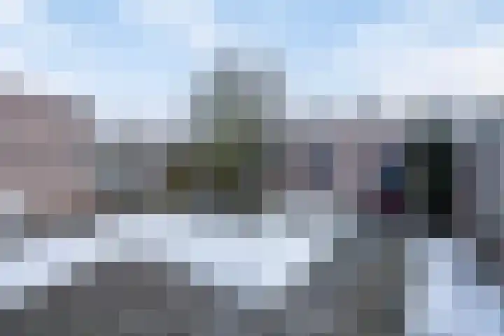Morgen 7 Gemert thumbnail 5