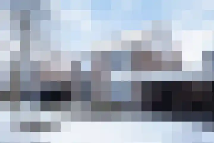 Morgen 7 Gemert thumbnail 8