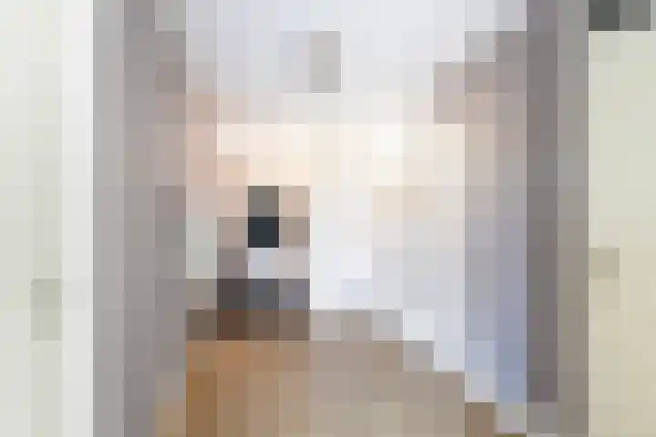 Morgen 7 Soest thumbnail 10