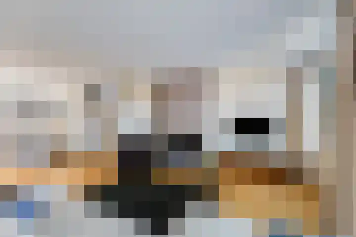 Morgen 7 Soest thumbnail 11