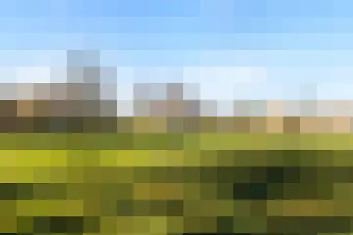 Morgen 7 Soest thumbnail 34