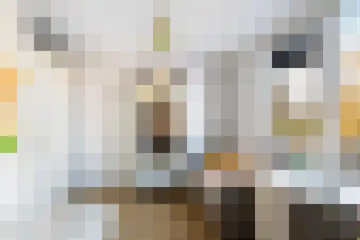 Morgen 7 Soest thumbnail 6