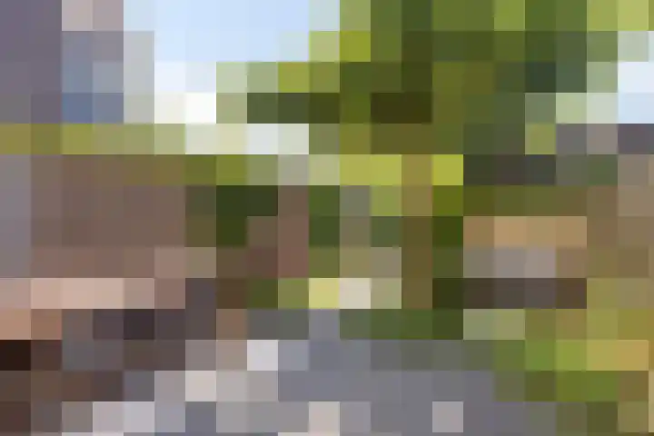 Morgenstond 43 Boxtel thumbnail 32