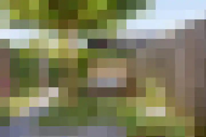 Morgenstond 43 Boxtel thumbnail 33