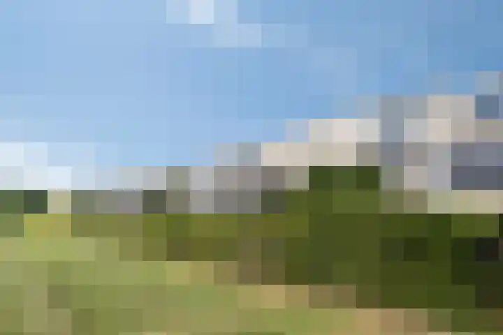 Morgenstond 43 Boxtel thumbnail 38