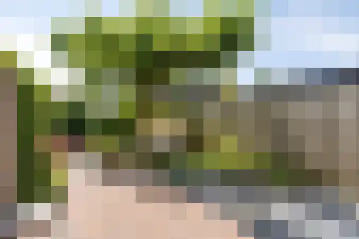 Morgenstond 43 Boxtel thumbnail 5