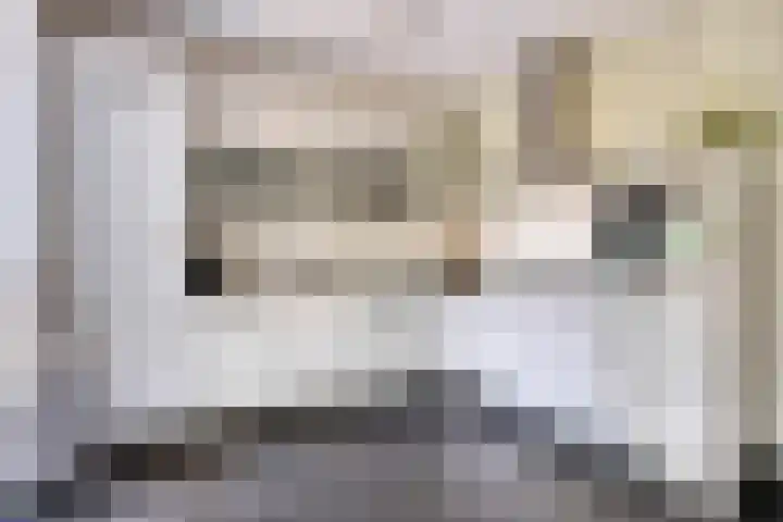 Morgenstond 43 Boxtel thumbnail 8