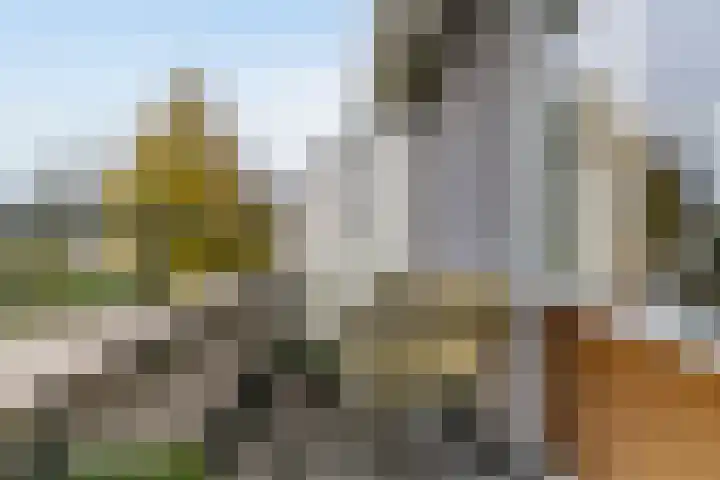 Morgenstond 43 De Meern thumbnail 22