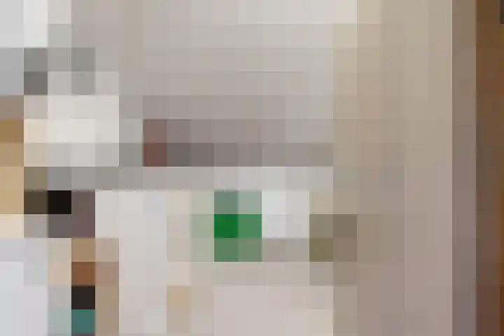 Morgenstond 43 De Meern thumbnail 35