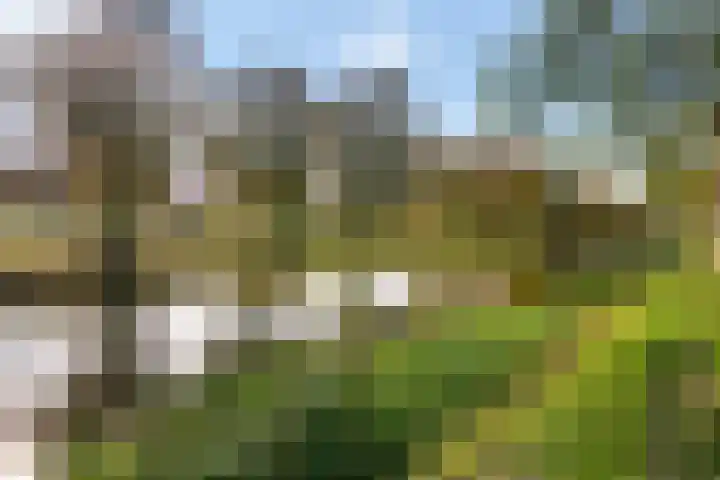 Morgenstond 43 De Meern thumbnail 46