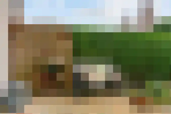 Morgenstond 43 De Meern thumbnail 5