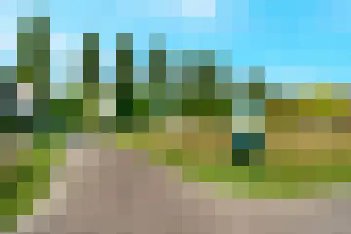Morgenstond 8 De Meern thumbnail 41