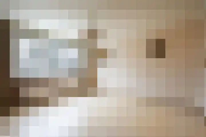 Moriaansdreef 36 Putte thumbnail 17
