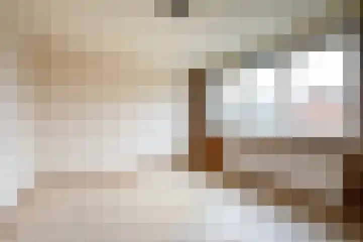 Moriaansdreef 36 Putte thumbnail 19