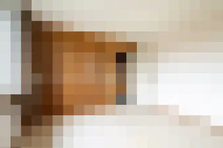 Moriaansdreef 36 Putte thumbnail 20