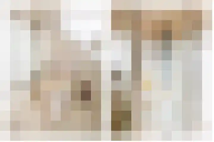 Moriaansdreef 36 Putte thumbnail 25