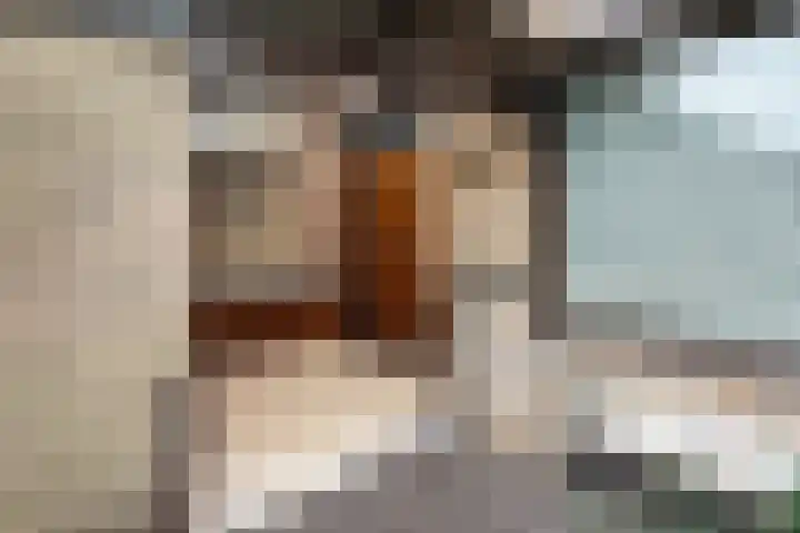 Moriaansdreef 36 Putte thumbnail 31
