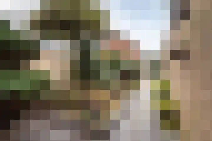 Moriaansdreef 36 Putte thumbnail 32