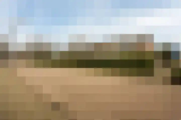 Moriaansdreef 36 Putte thumbnail 35