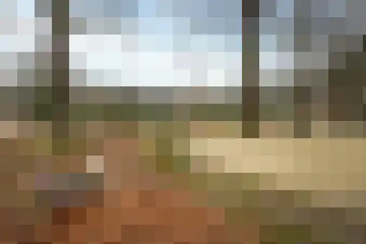 Moriaansdreef 36 Putte thumbnail 36