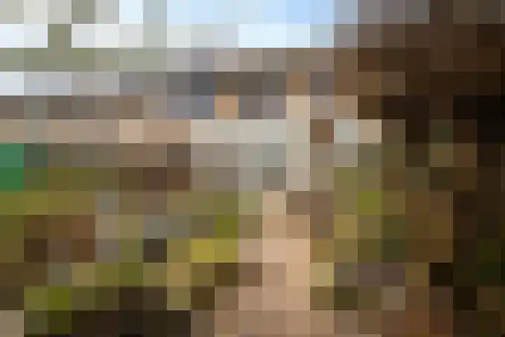 Moriaansdreef 36 Putte thumbnail 4