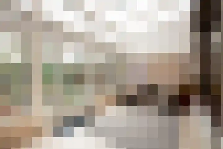 Moriaansdreef 36 Putte thumbnail 5
