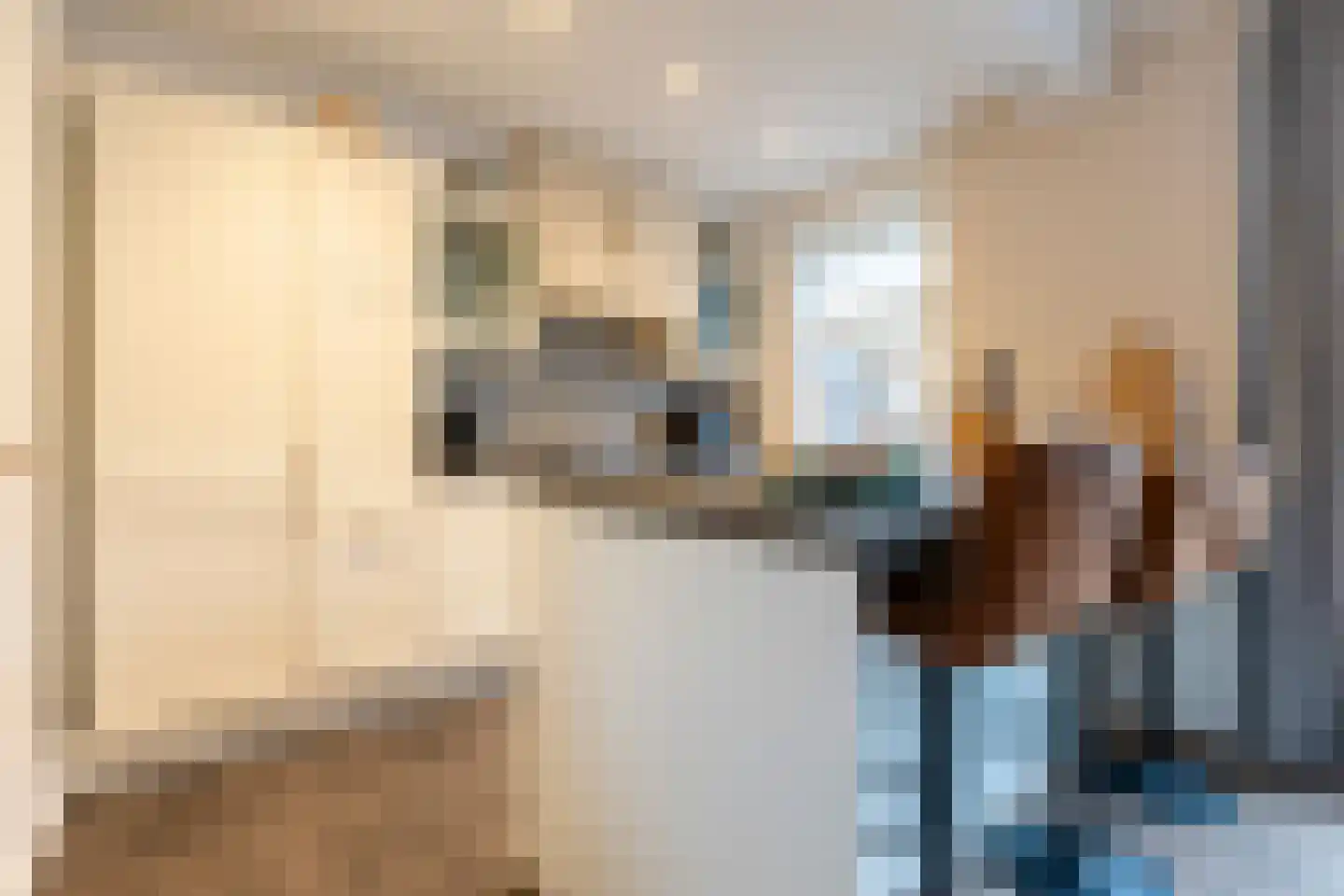 Moriaansdreef 94 Putte thumbnail 15