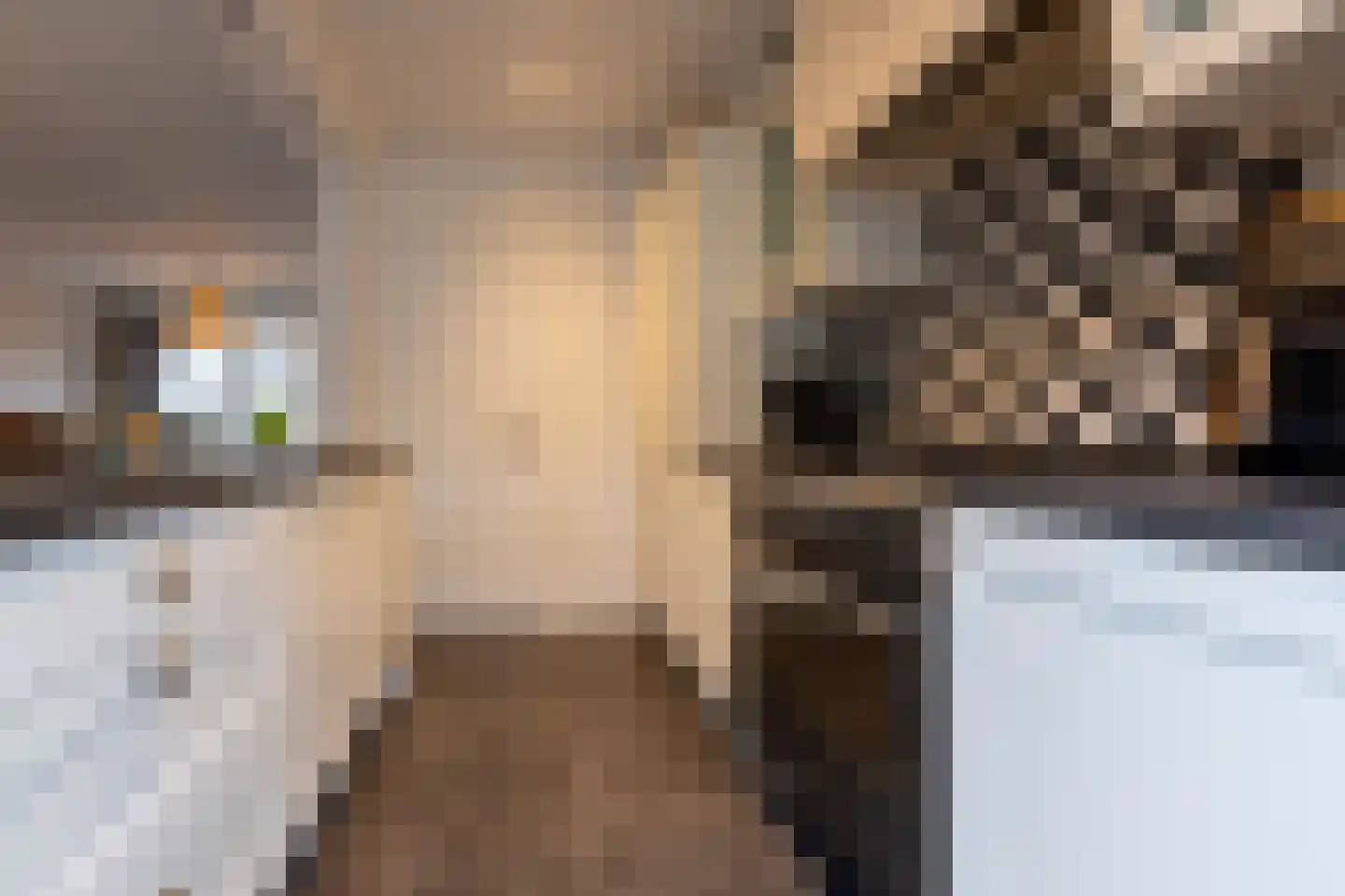 Moriaansdreef 94 Putte thumbnail 19