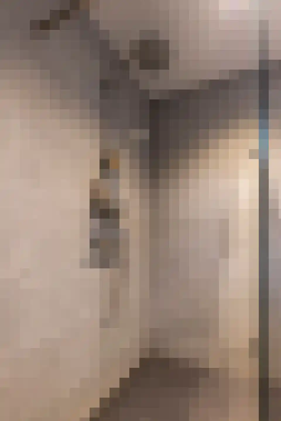 Moriaansdreef 94 Putte thumbnail 25