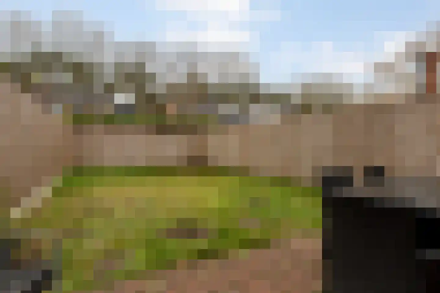 Moriaansdreef 94 Putte thumbnail 45