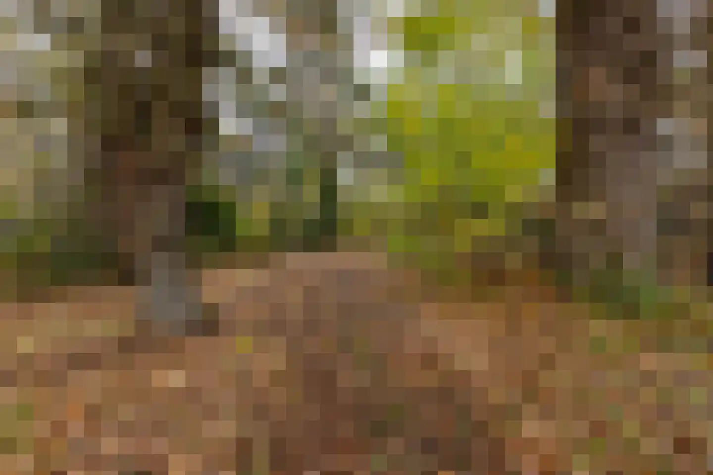 Moriaansdreef 94 Putte thumbnail 46
