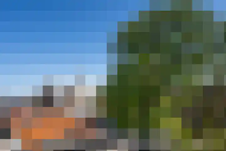 Morinnesteeg 30 Haarlem thumbnail 17