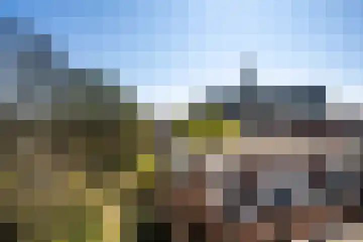 Morinnesteeg 30 Haarlem thumbnail 18