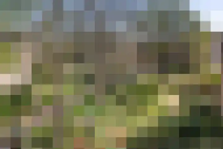 Morinnesteeg 30 Haarlem thumbnail 19