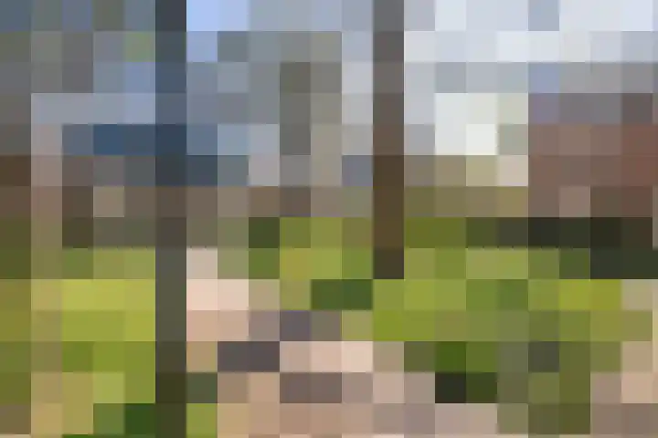 Morinnesteeg 30 Haarlem thumbnail 20