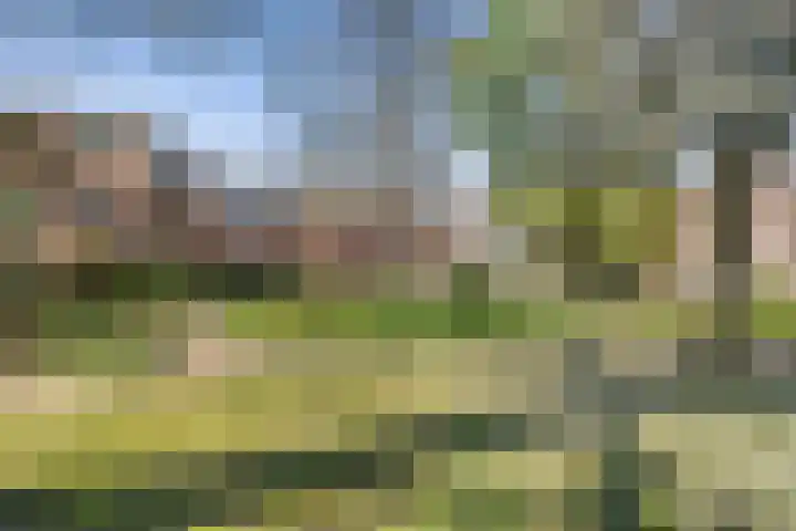 Morinnesteeg 30 Haarlem thumbnail 23