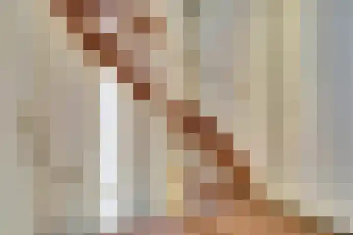 Morlodehof 20 Krabbendijke thumbnail 16
