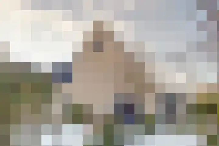 Morlodehof 20 Krabbendijke thumbnail 31