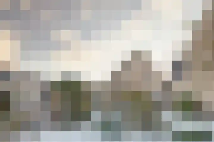 Morlodehof 20 Krabbendijke thumbnail 33