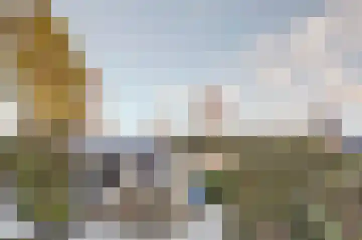 Morlodehof 20 Krabbendijke thumbnail 36