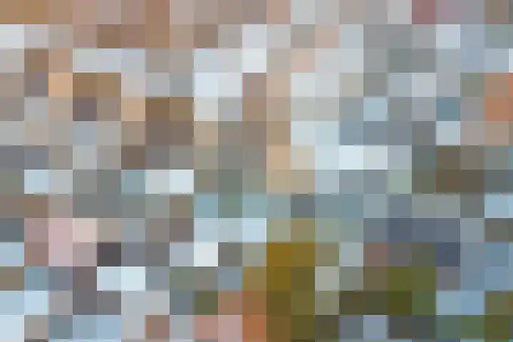 Morlodehof 20 Krabbendijke thumbnail 45