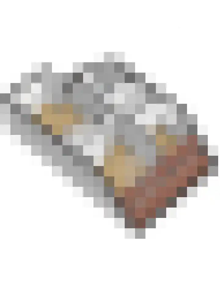 Morlodehof 20 Krabbendijke thumbnail 55