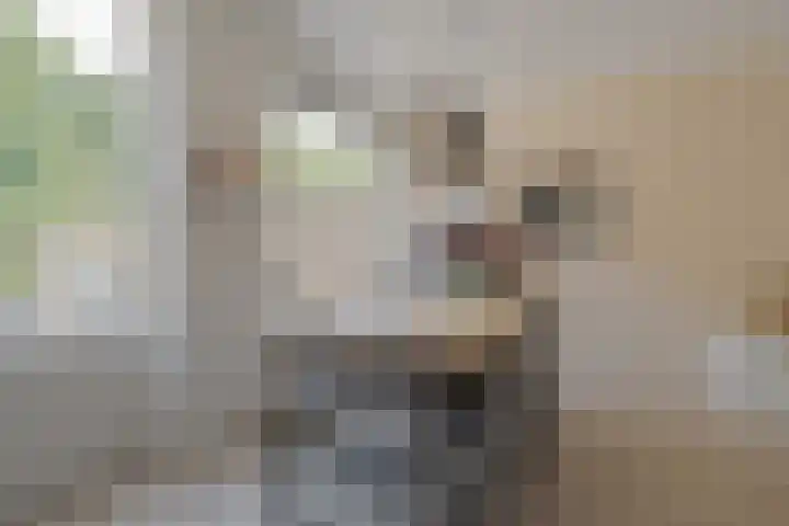 Morra 21 Zwolle thumbnail 16