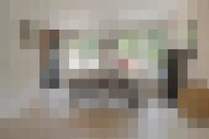 Morra 21 Zwolle foto 3